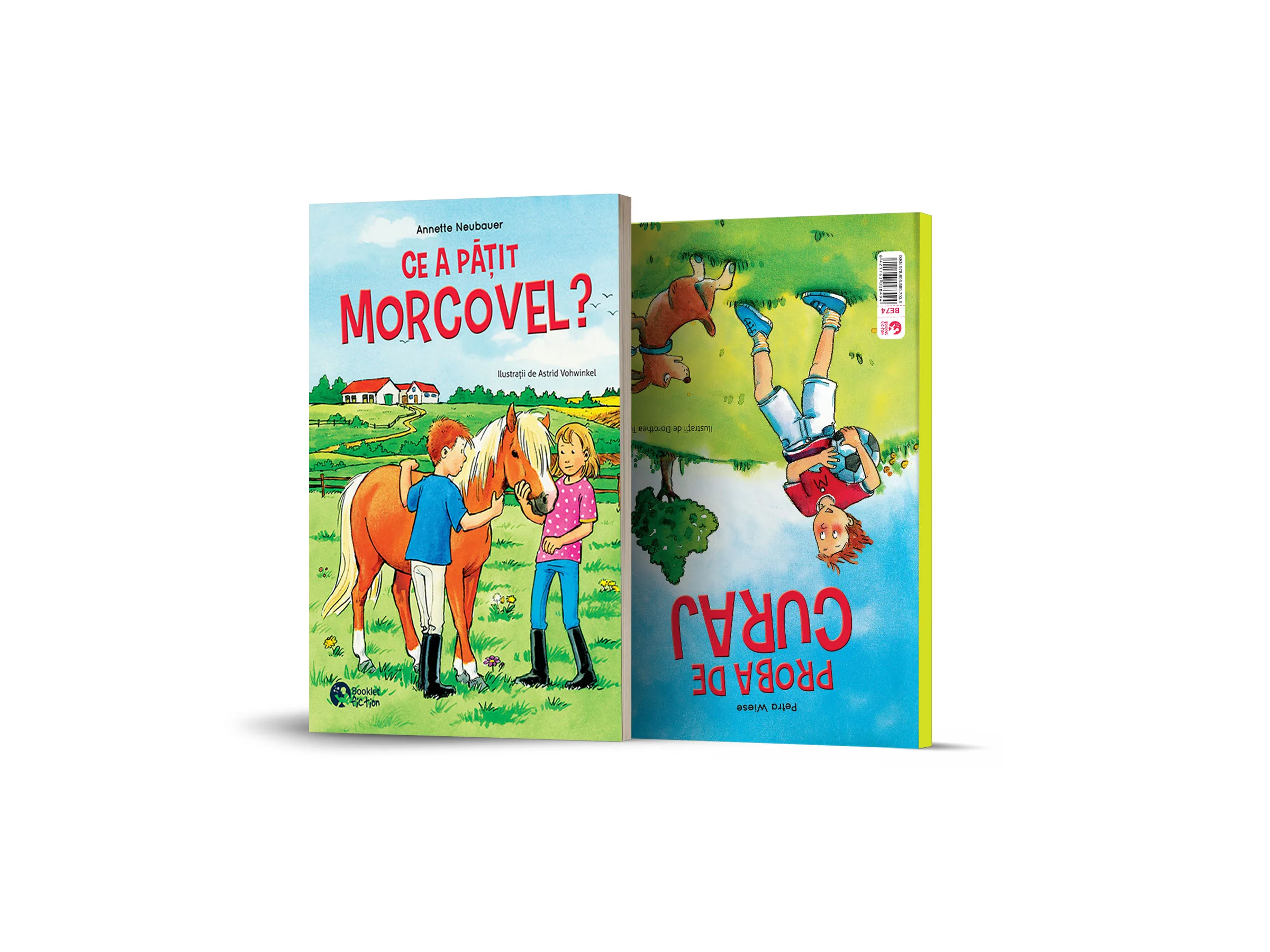 Ce a patit Morcovel / Proba de curaj