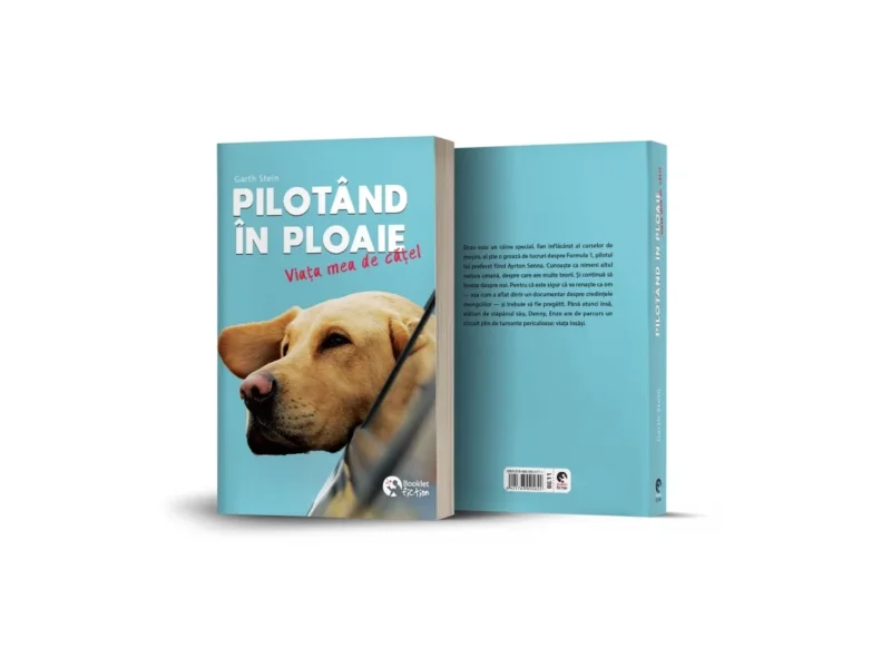 Pilotând în ploaie - Image 2